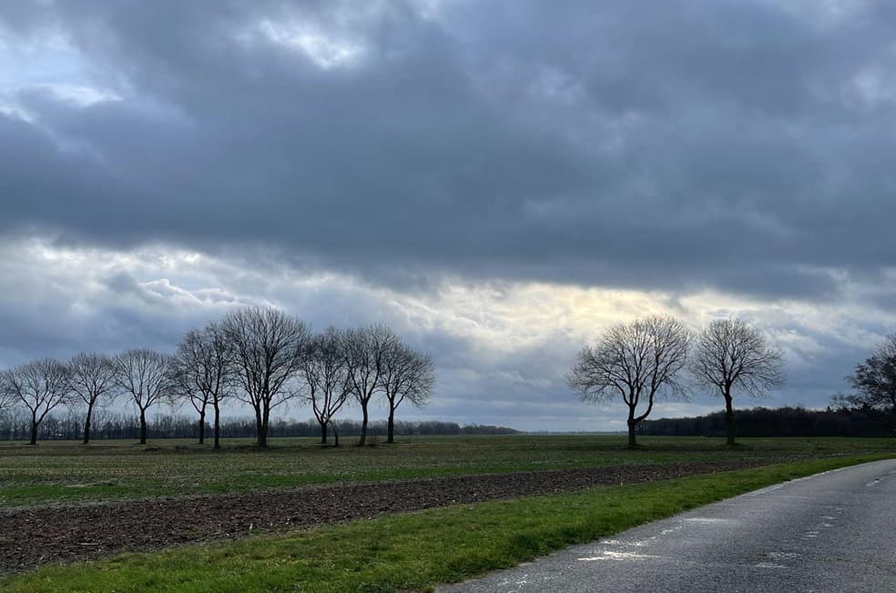 foto van kanaal in daarle