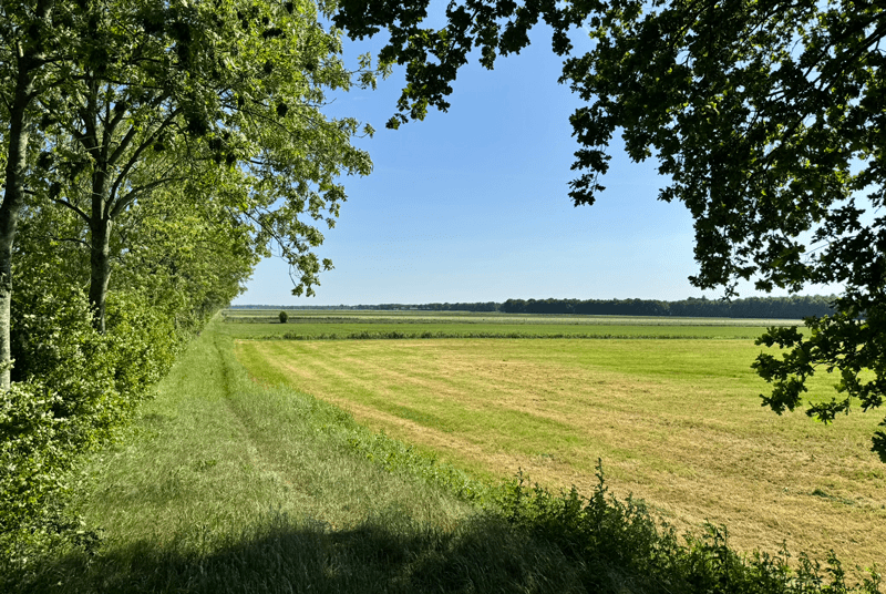 foto van kanaal in daarle