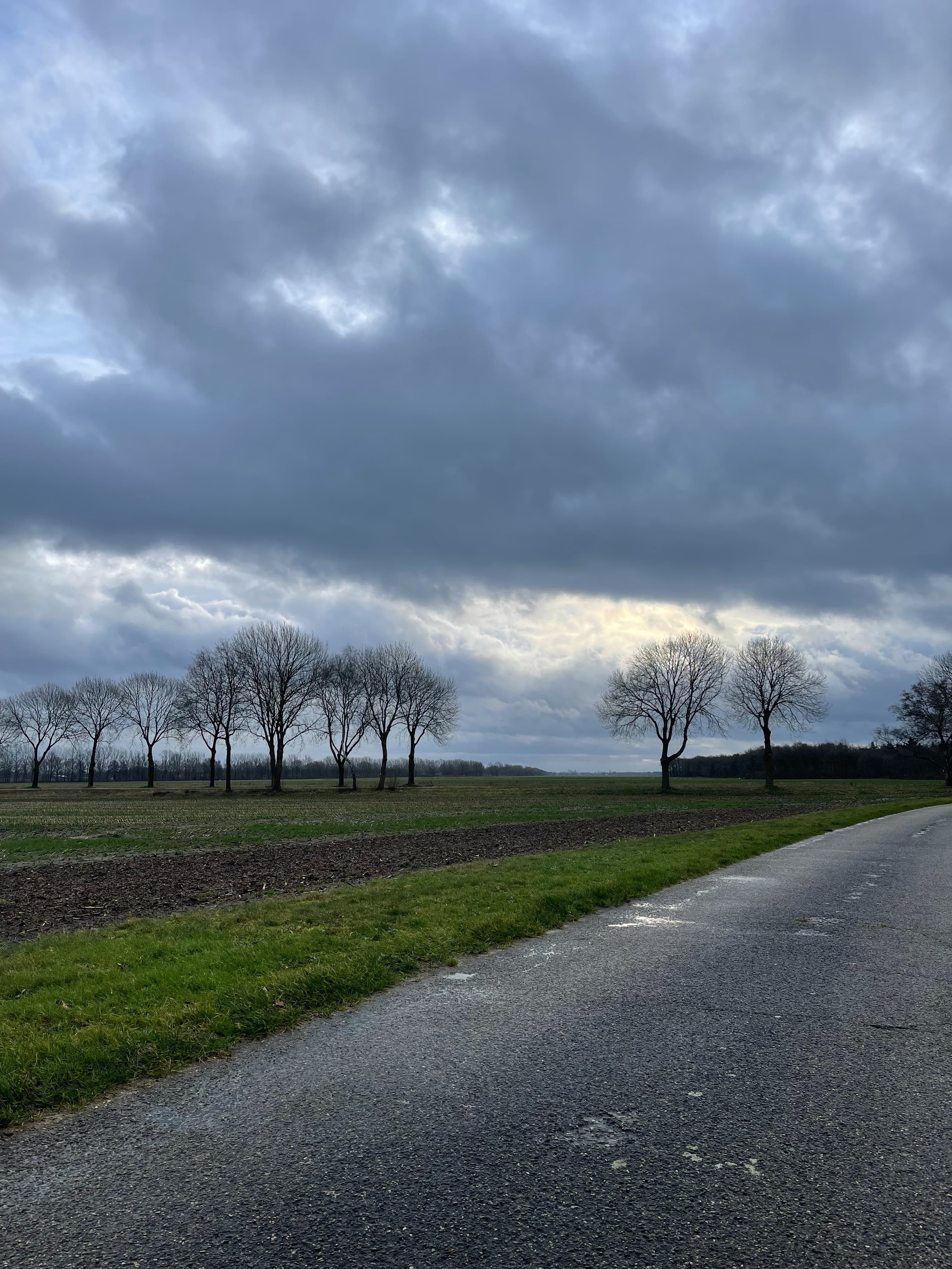 foto van kanaal in daarle